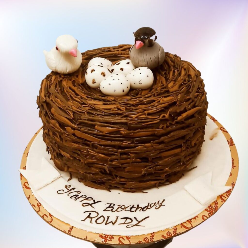 3D Cakes, Nest Cake, Cake Square