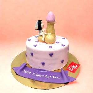 Make a Wish Adult Theme Cake, cake square
