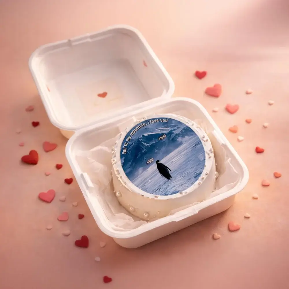 penguin bento cake, trending penguin bento, bento cakes, mini cakes, cake square, bento cakes at 500, trending cake, valentines day cake, love couples cake,